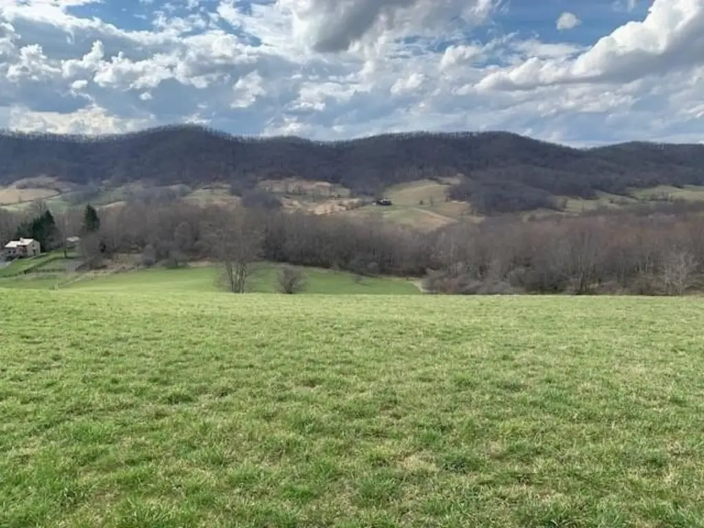 Picture 6