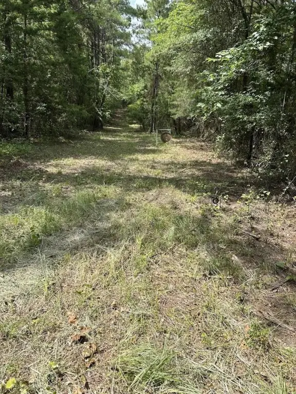 Picture 12