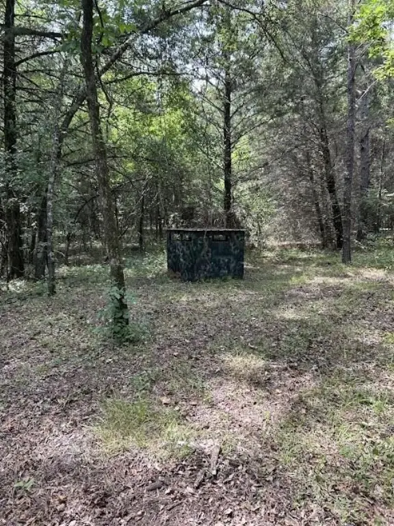 Picture 16