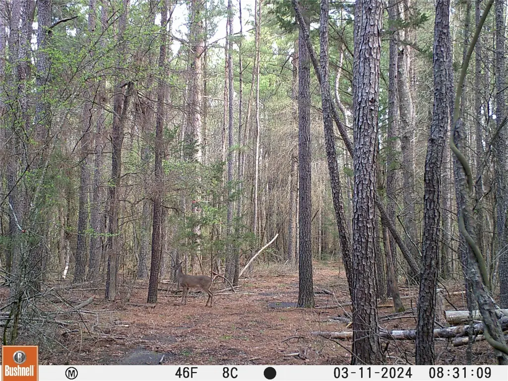 Picture 14