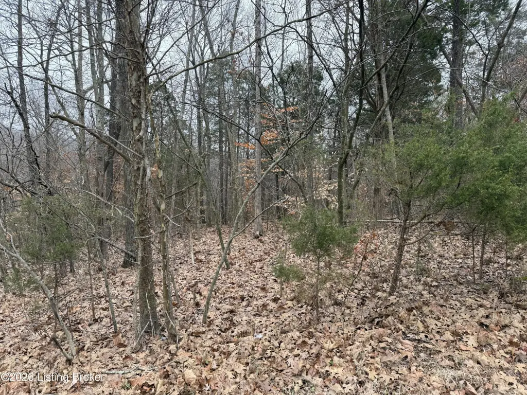 Picture 17
