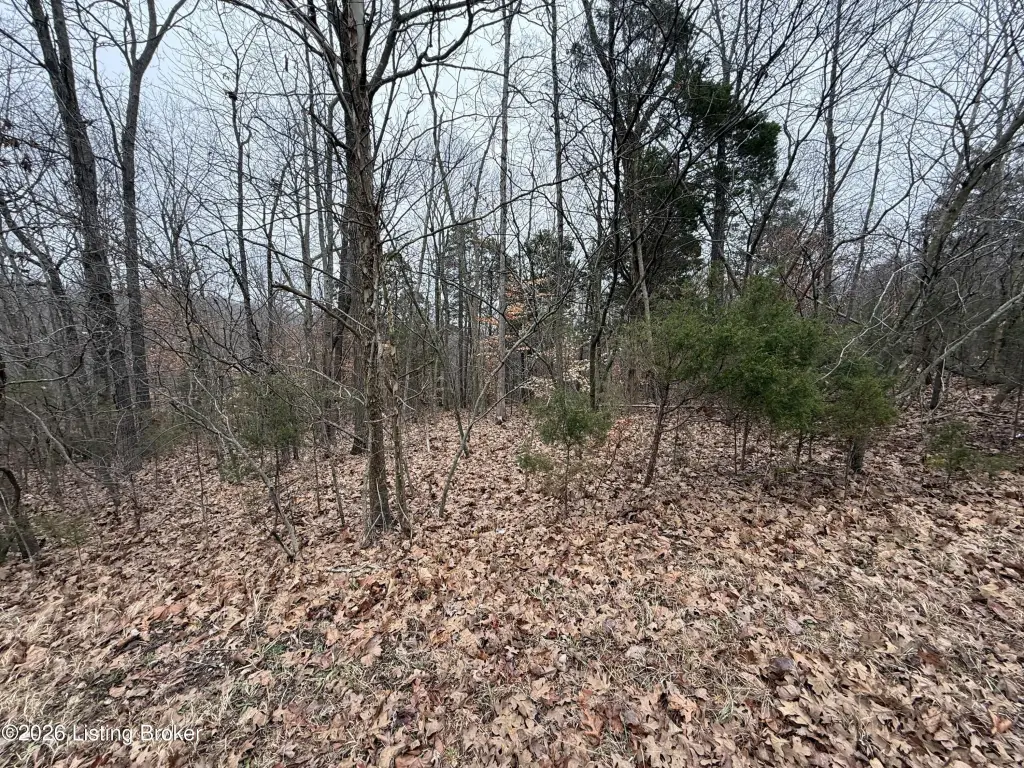 Picture 18