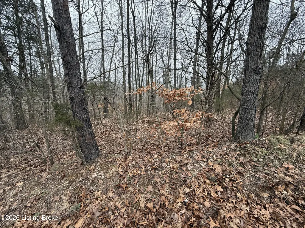 Picture 16