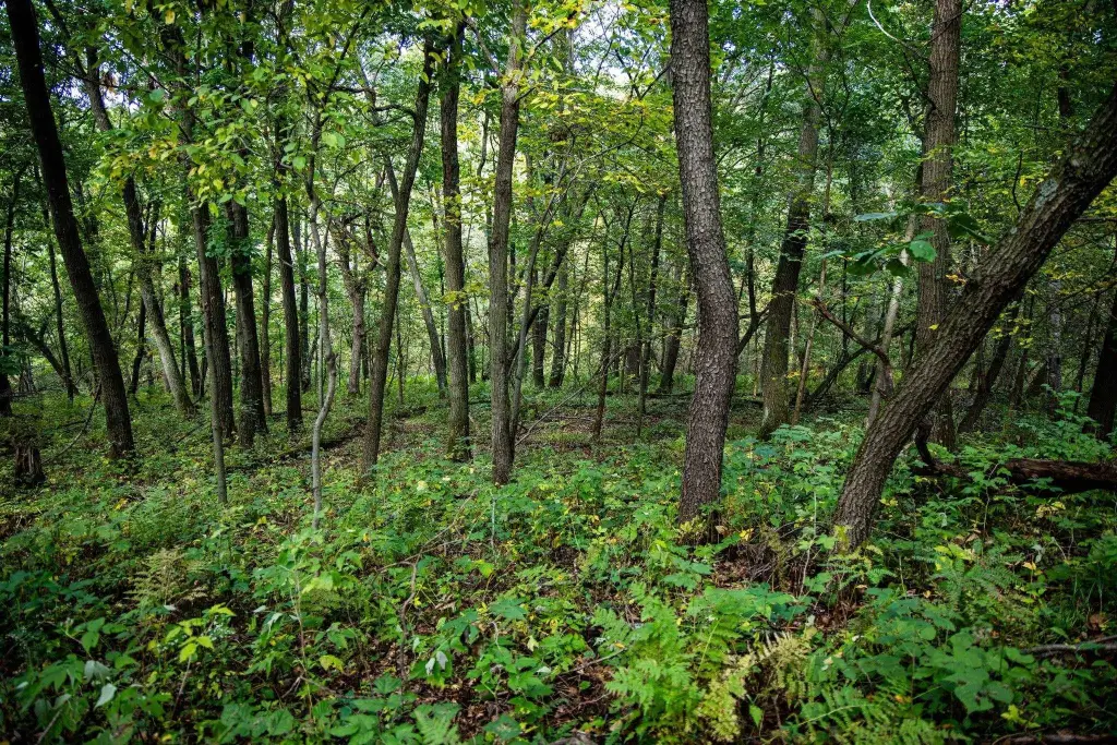 Picture 57