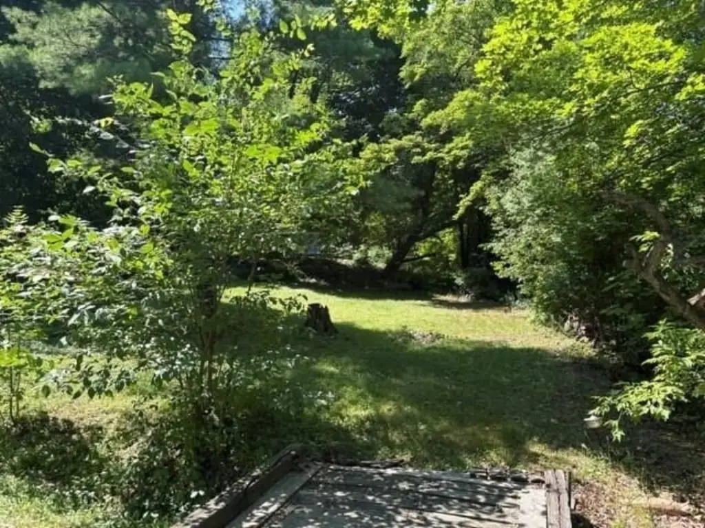 Picture 3