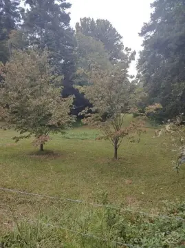 Residential Land in Matthews, NC