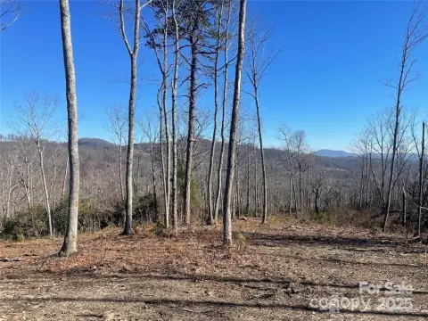 Fletcher, NC Homesite with Views
