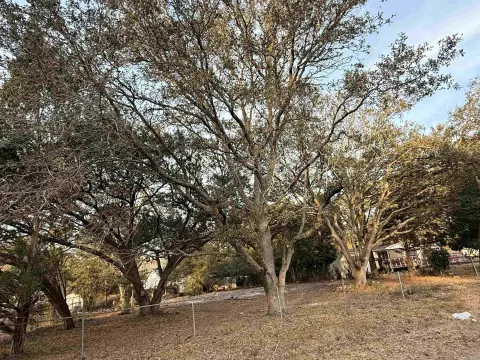 Large Lot in Woodwinds Community