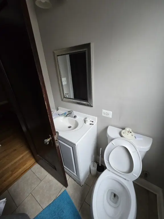 Picture 17