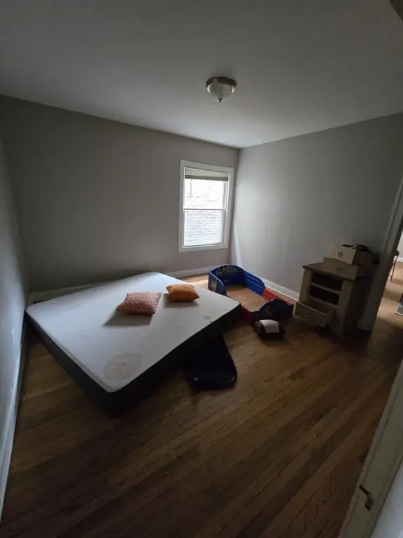 Picture 14