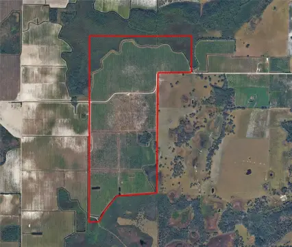 433+ Acres in Myakka City