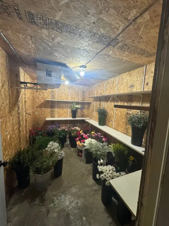 Picture 24
