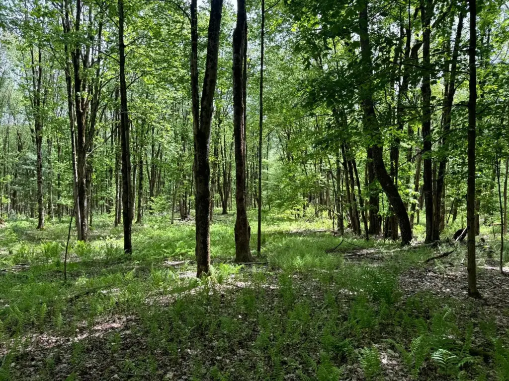 Picture 4