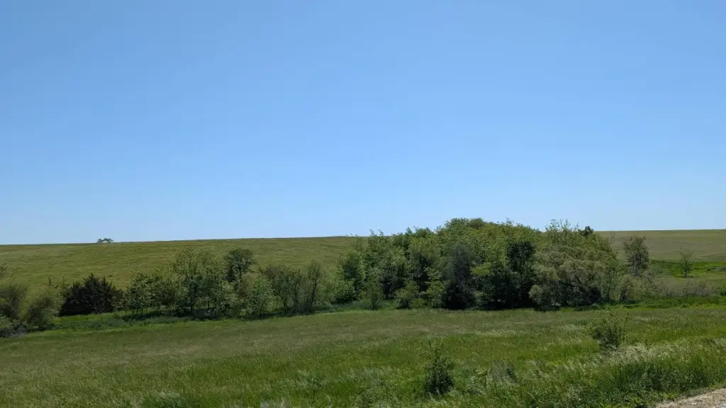 Picture 17
