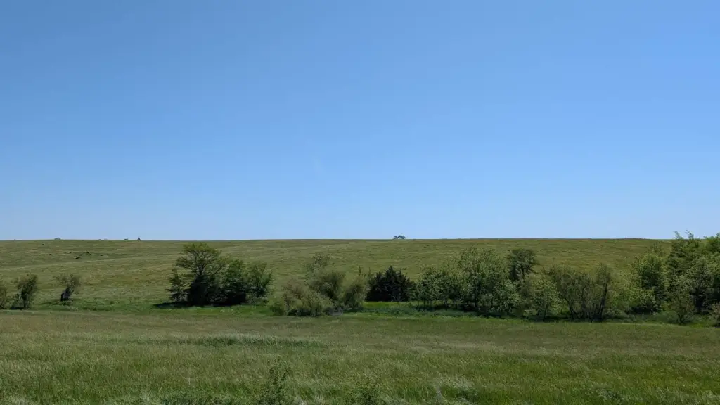Picture 16