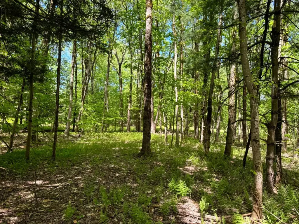 Picture 15