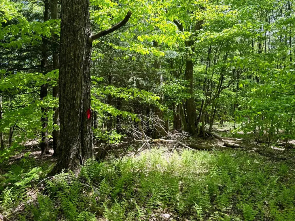 Picture 2