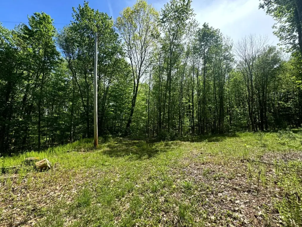 Picture 19