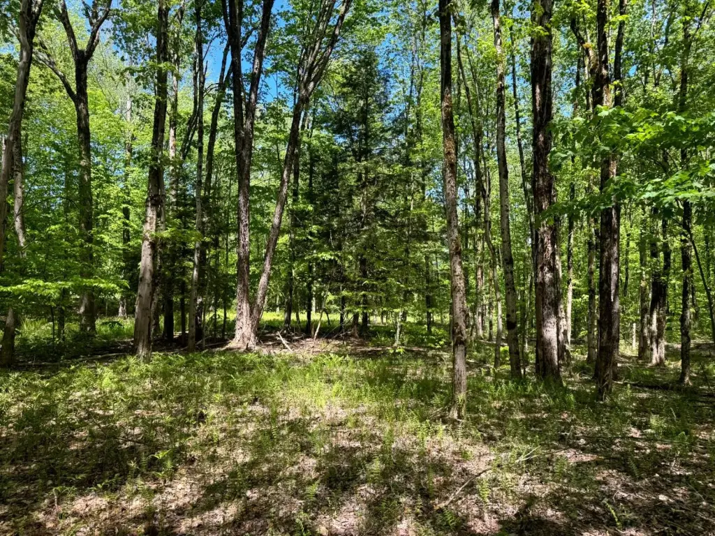 Picture 16