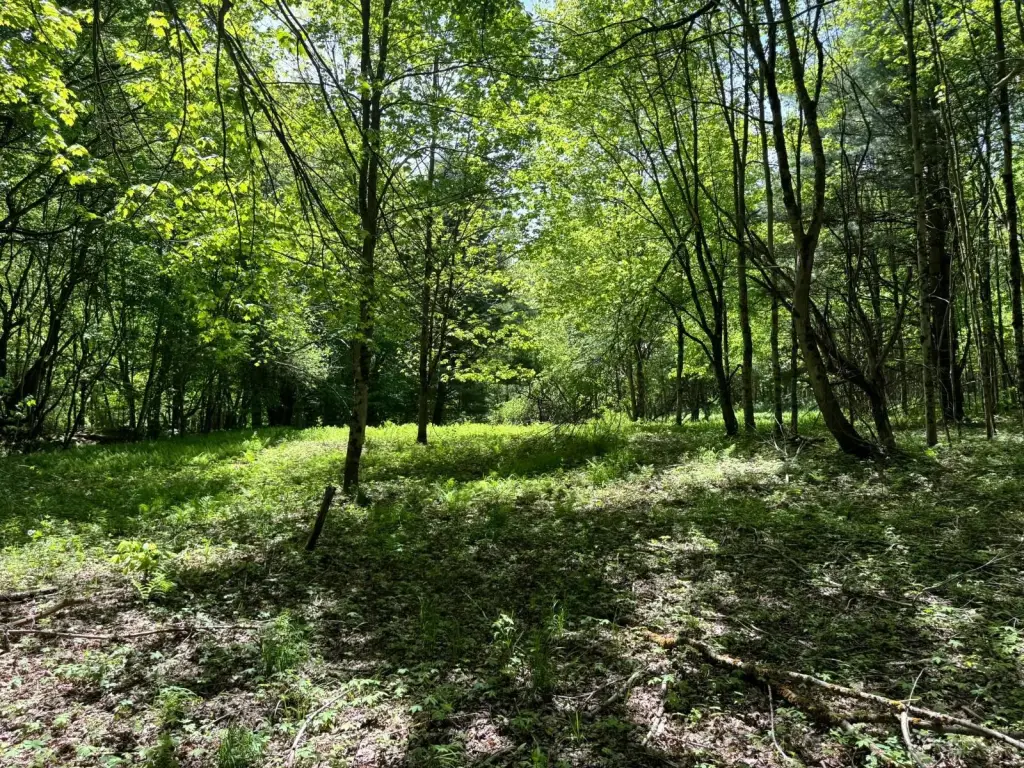 Picture 14