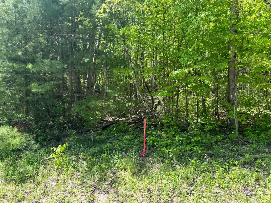 Picture 12