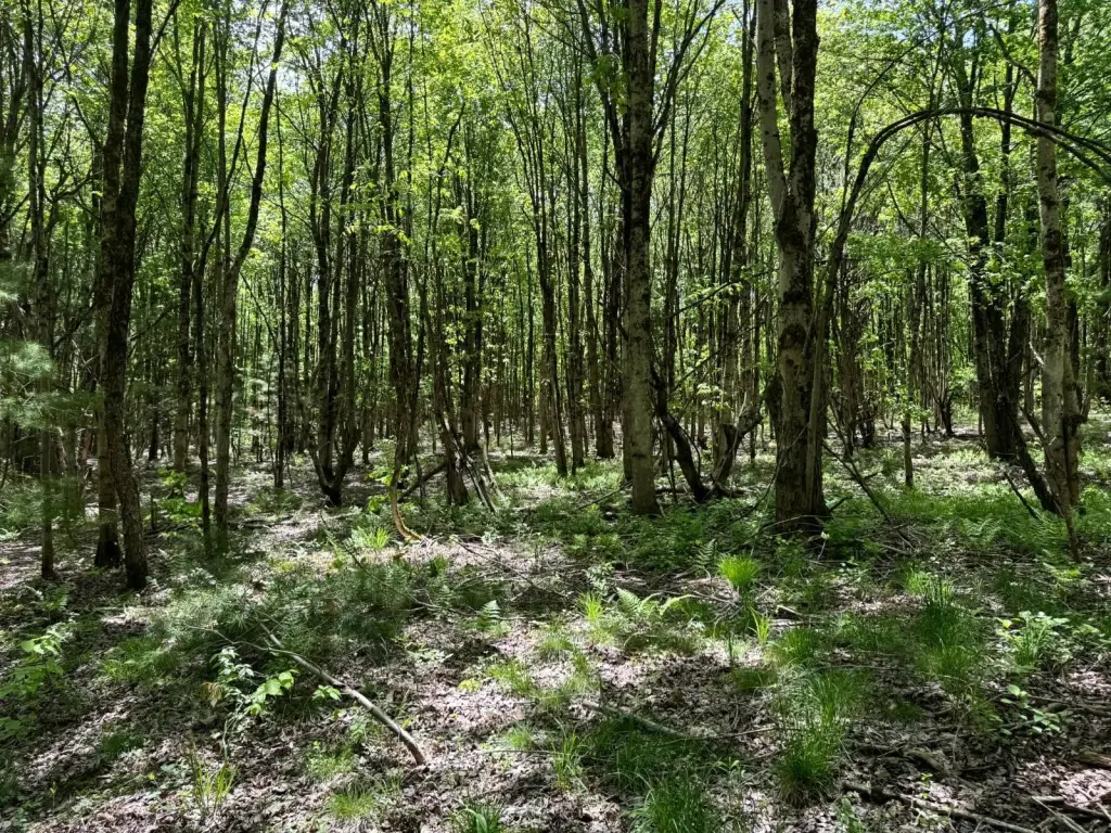 Picture 16