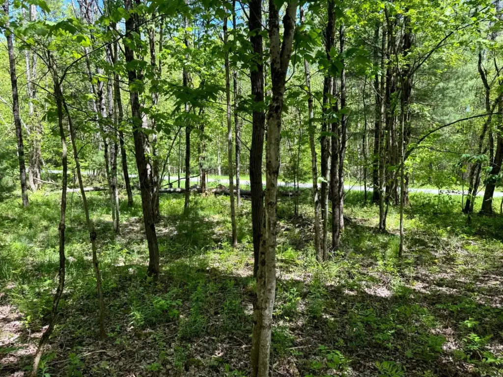 Picture 14