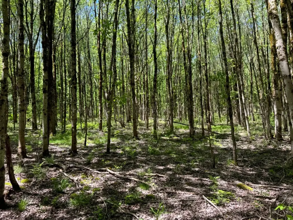 Picture 20