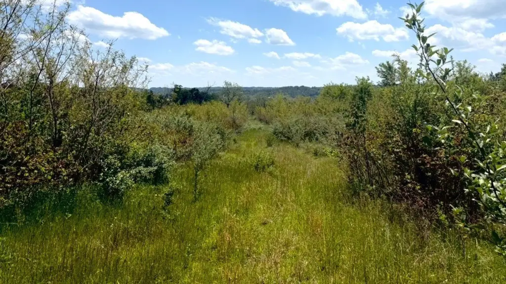 Picture 48