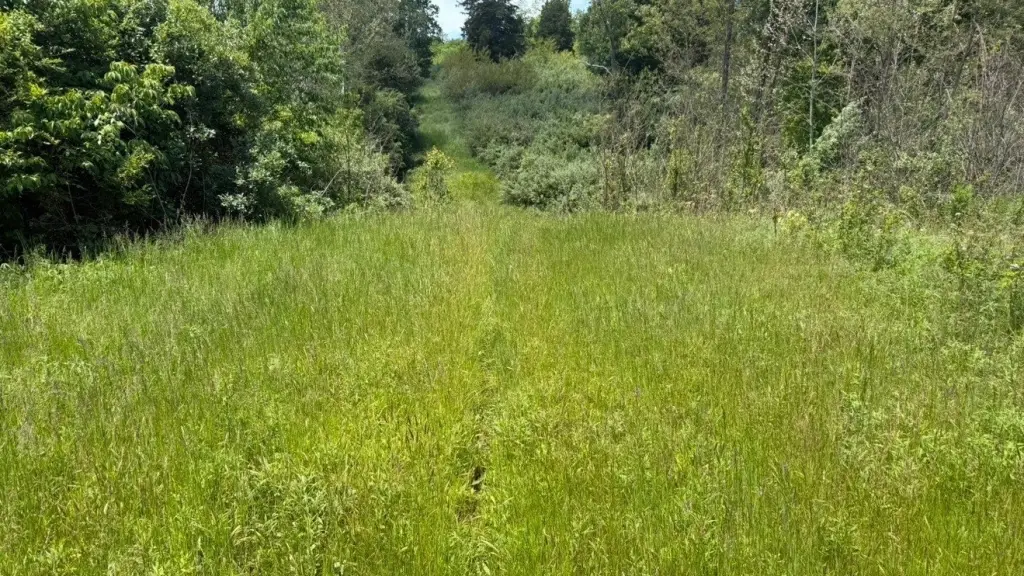 Picture 12