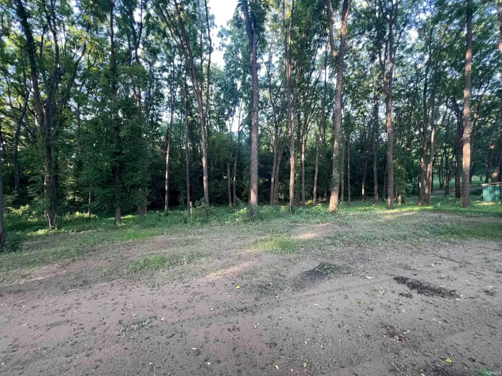 Picture 17
