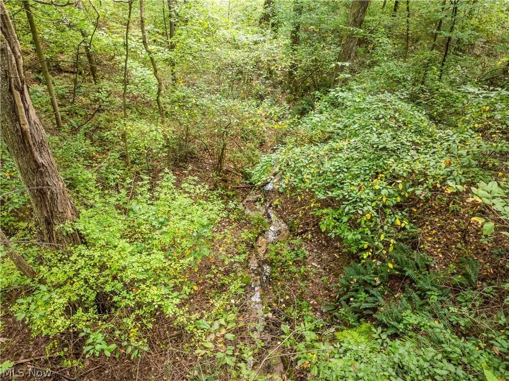Picture 30