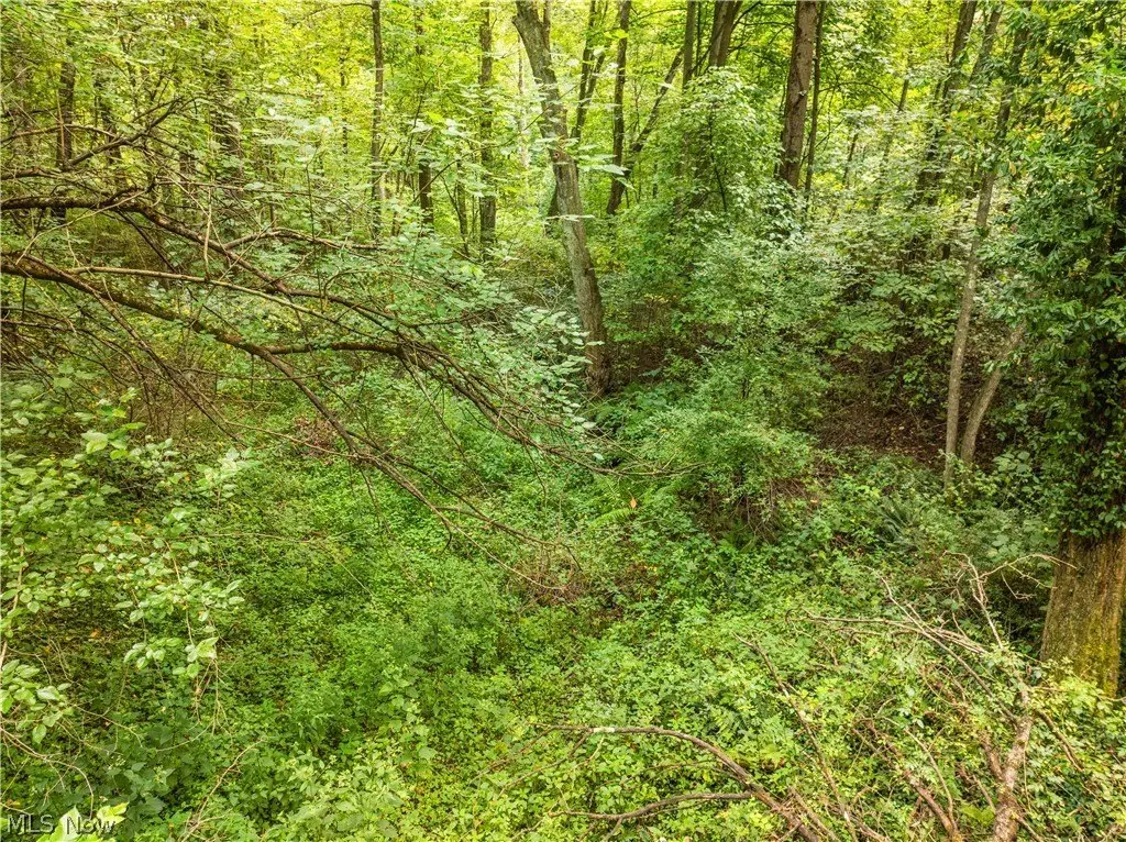 Picture 28