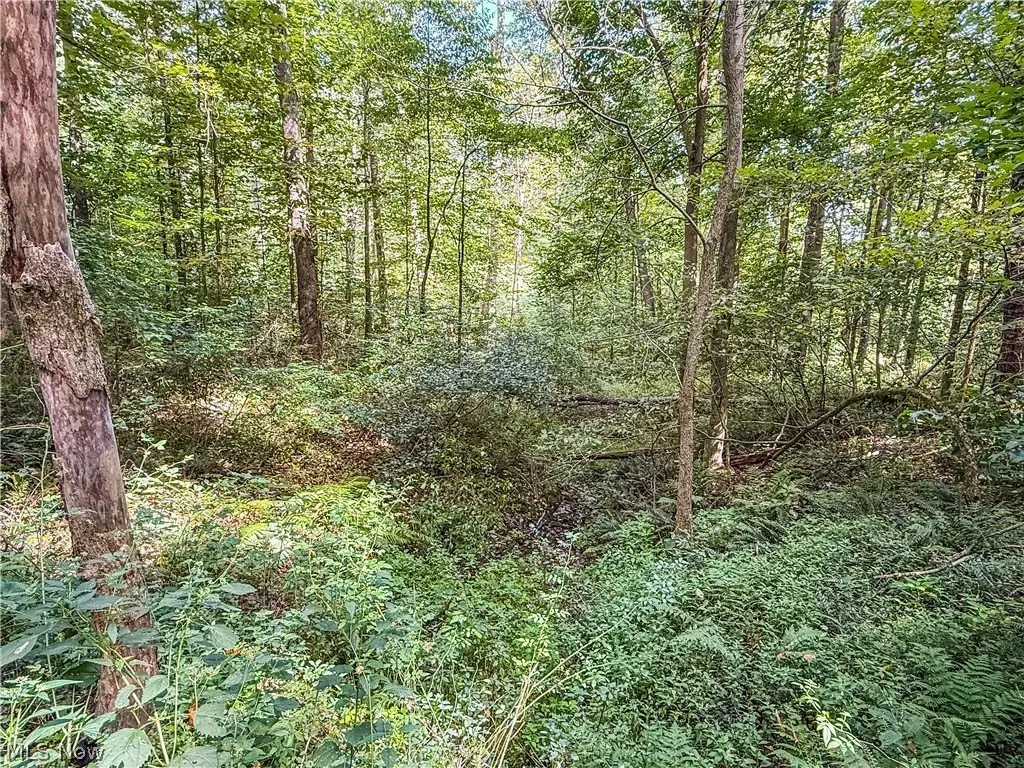 Picture 21