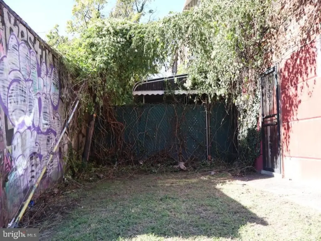 Picture 4