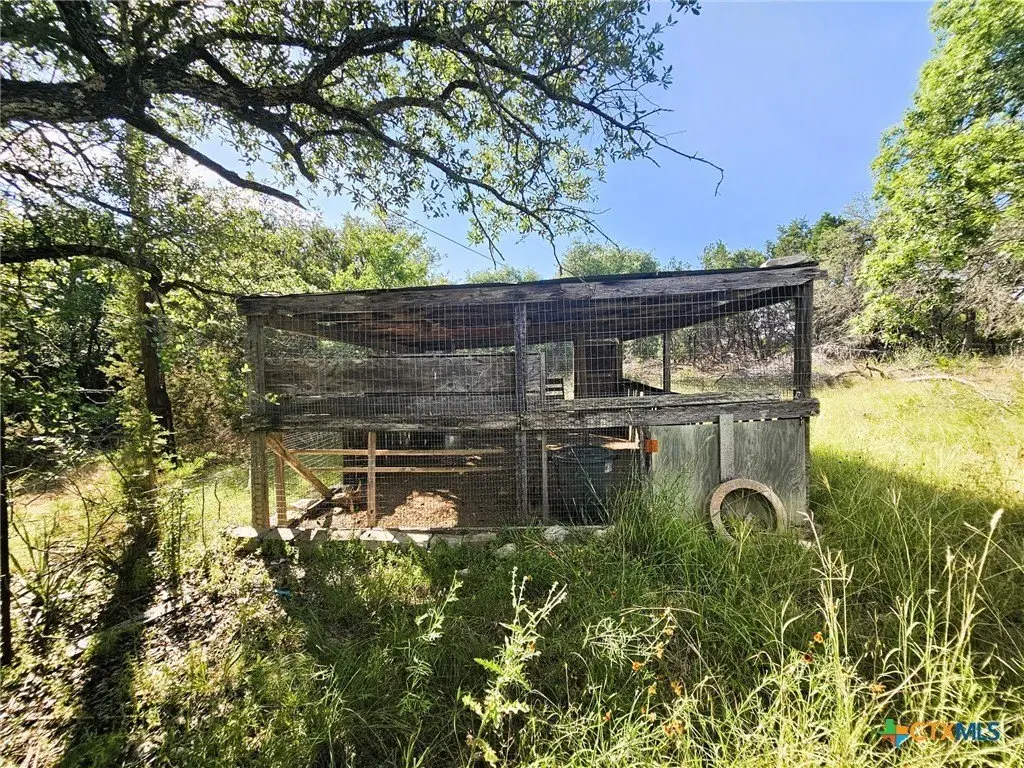 Picture 15