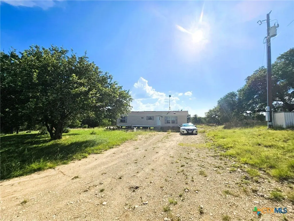 Picture 6