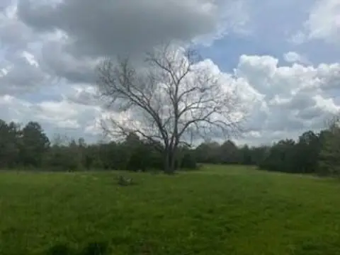 360 Acre Hunter's Paradise