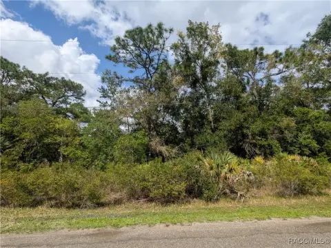 Crystal River Homesite: 1.01 Acres