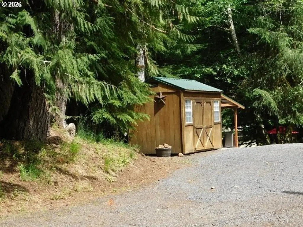 Picture 9
