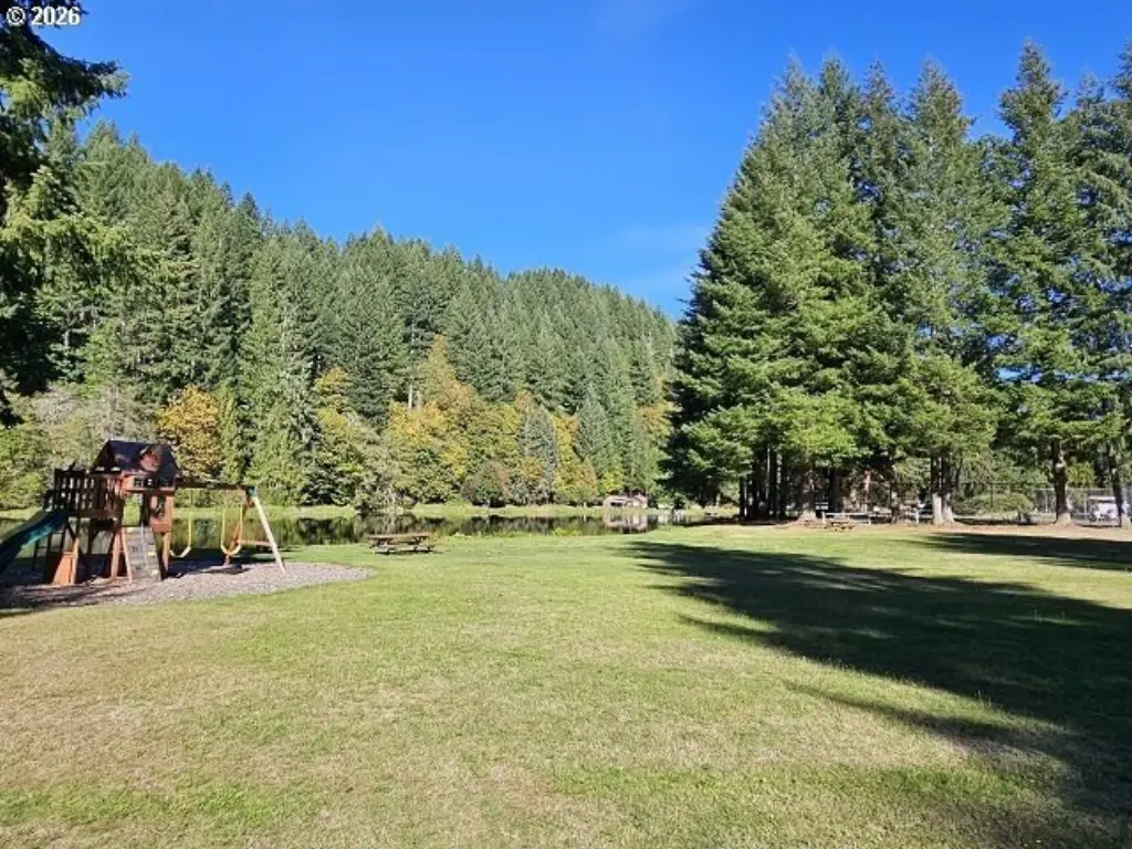 Picture 28