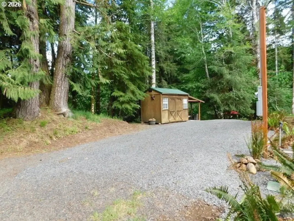 Picture 8