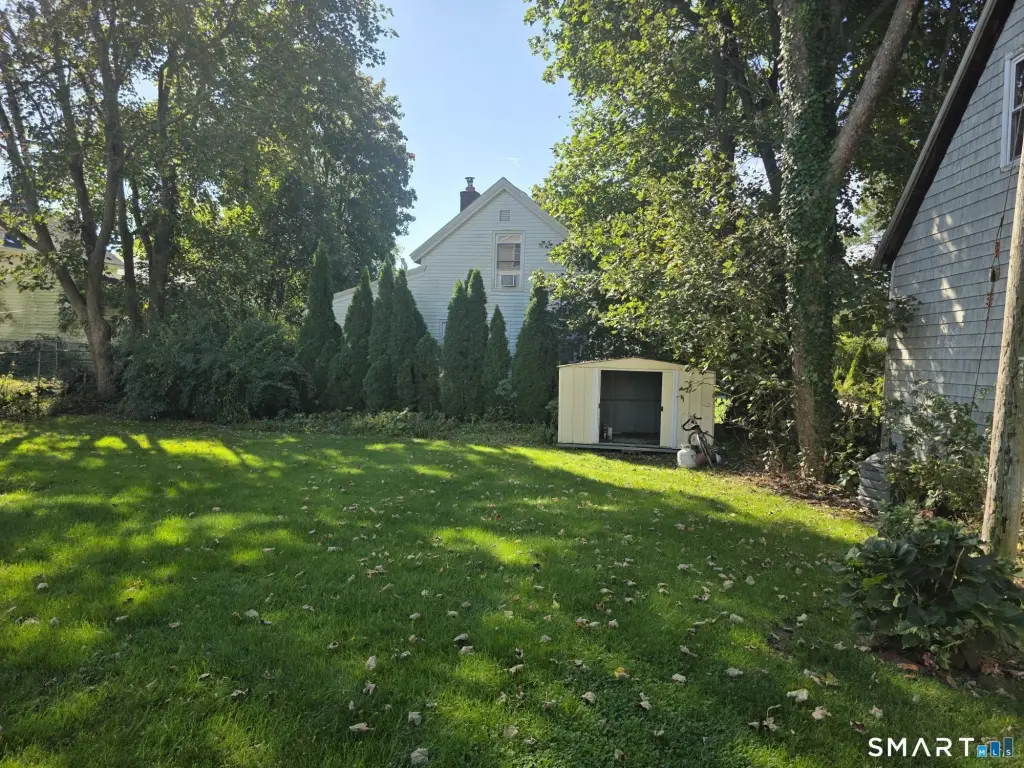 Picture 23
