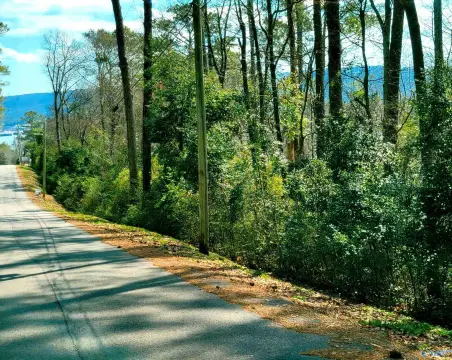 Land For Sale Guntersville
