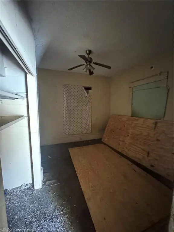 Picture 24
