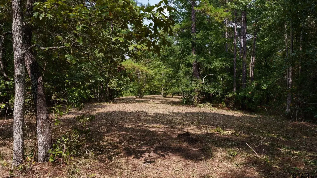 Picture 11
