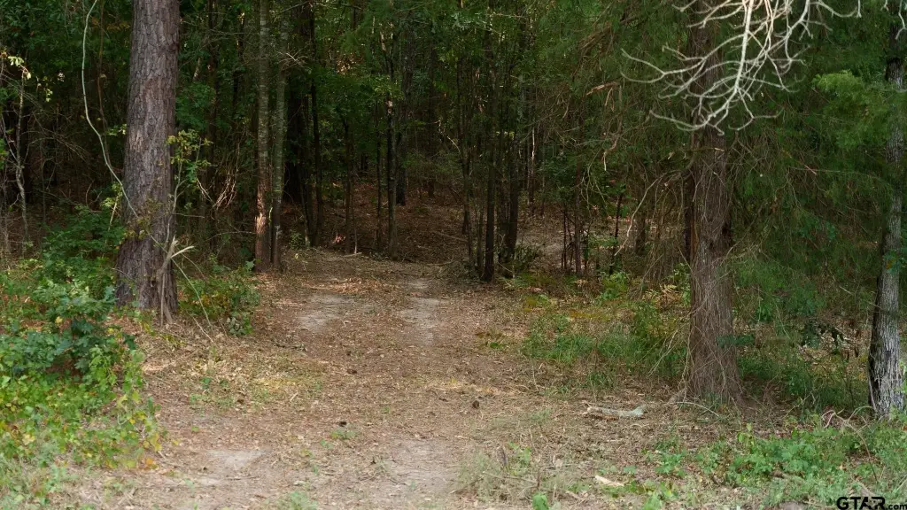 Picture 29