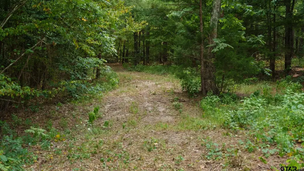 Picture 30