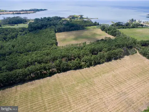 Taylors Island Waterfront Acreage