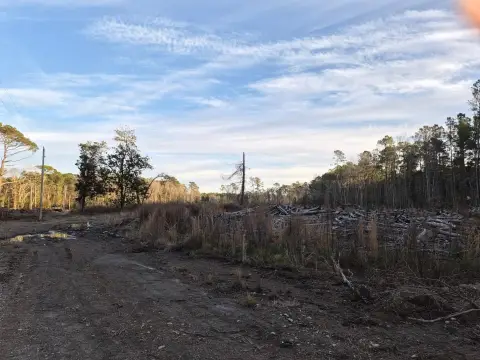 Land for Future Development